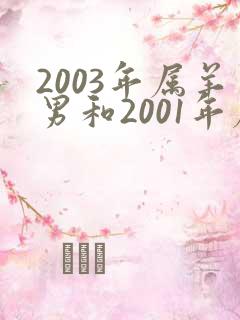 2003年属羊男和2001年属蛇女