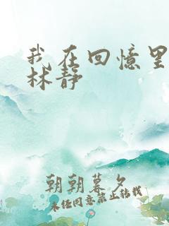 我在回忆里等你林静