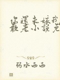 你还未嫁我怎么敢老小说免费阅读