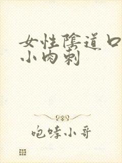 女性阴道口内有小肉刺