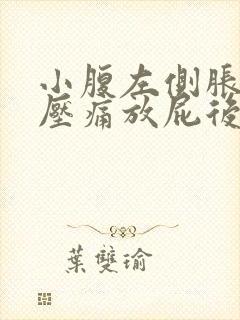 小腹左侧胀气按压痛放屁后缓解