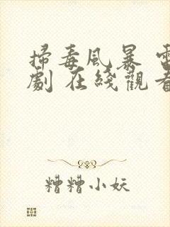 扫毒风暴 电视剧 在线观看免费