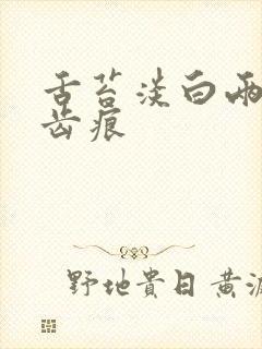 舌苔淡白两侧有齿痕