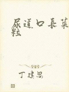 尿道口长菜花肉粒