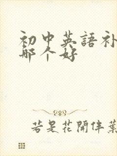 初中英语补习班哪个好