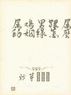 属鸡男跟属龙女的姻缘怎么样啊