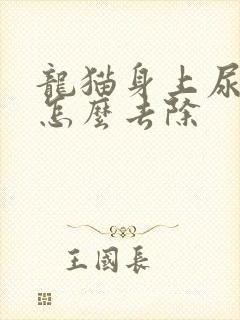 龙猫身上尿骚味怎么去除