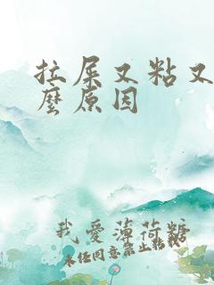 拉屎又粘又臭什么原因