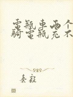 电瓶车两个月没骑电瓶充不进电了