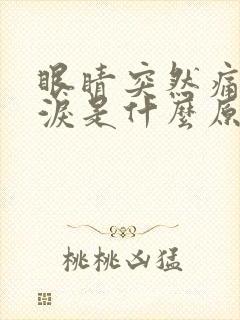 眼睛突然痛流眼泪是什么原因