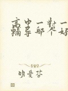 高中一对一英语辅导哪个好