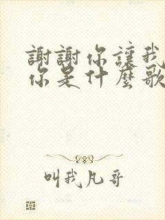 谢谢你让我遇见你是什么歌名的歌词