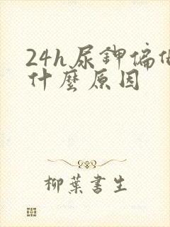 24h尿钾偏低什么原因