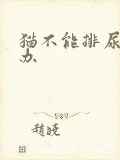 猫不能排尿怎么办