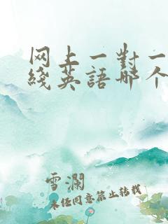 网上一对一学在线英语哪个好