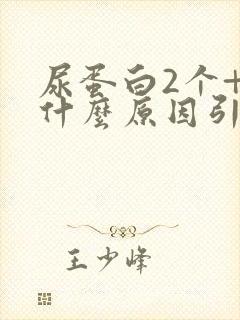 尿蛋白2个+是什么原因引起的