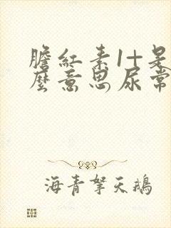 胆红素1+是什么意思尿常规