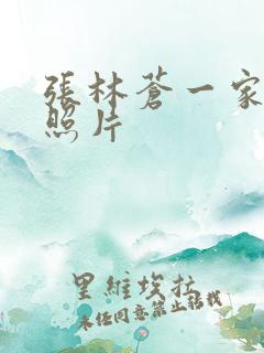 张林苍一家三口照片