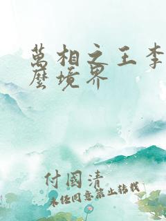 万相之王李洛什么境界