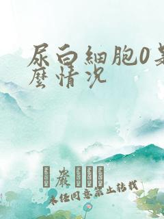 尿白细胞0是什么情况