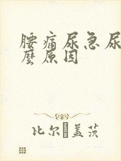 腰痛尿急尿少什么原因