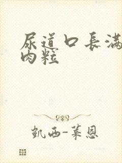 尿道口长满了小肉粒