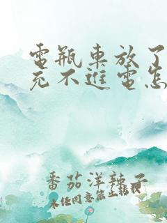 电瓶车放了几天充不进电怎么回事