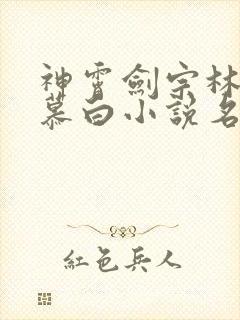 神霄剑宗林枫苏慕白小说名叫什么