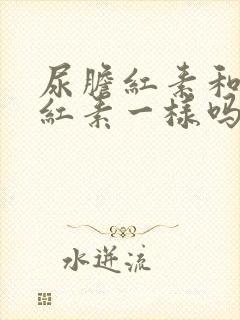 尿胆红素和血胆红素一样吗