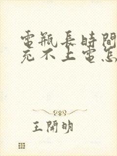 电瓶长时间不用充不上电怎么办