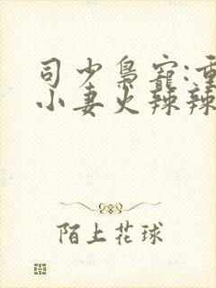 司少枭宠:重生小妻火辣辣