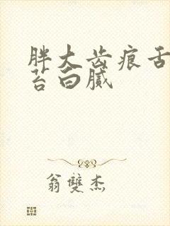 胖大齿痕舌 舌苔白腻