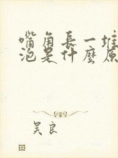 嘴角长一堆小水泡是什么原因