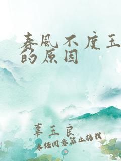 春风不度玉门关的原因