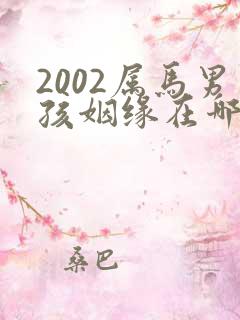 2002属马男孩姻缘在哪一年呢