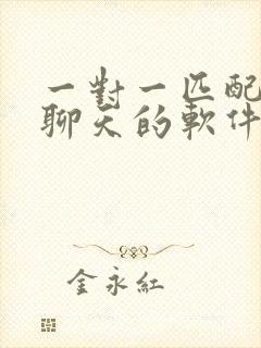 一对一匹配语音聊天的软件