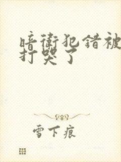 暗卫犯错被王爷打哭了