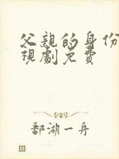 父亲的身份 电视剧免费