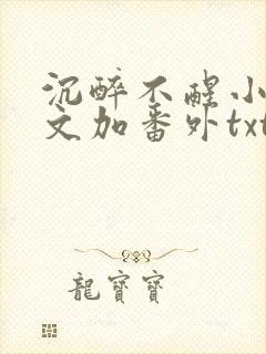 沉醉不醒小说全文加番外txt