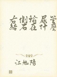 右侧输尿管下段结石在什么位置