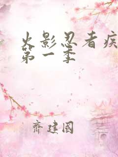 火影忍者疾风传第一季