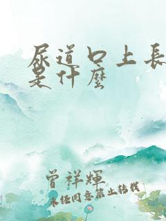 尿道口上长水泡是什么