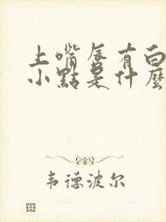 上嘴唇有白色的小点是什么原因