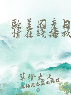 欧美国产日韩激情在线播放