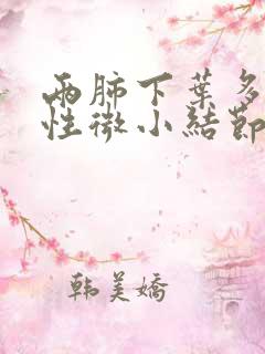 两肺下叶多发实性微小结节