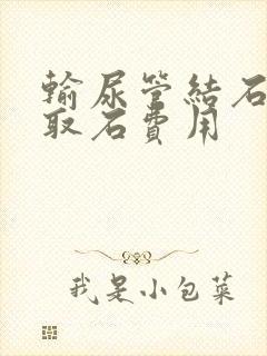 输尿管结石体外取石费用