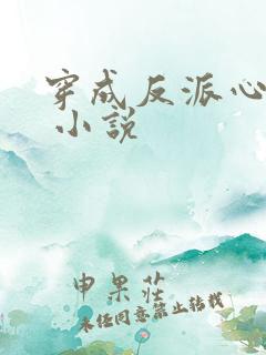 穿成反派心尖宠 小说
