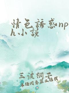 情色诱惑np高h小说