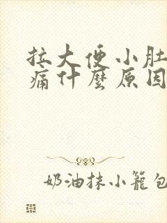 拉大便小肚子坠痛什么原因