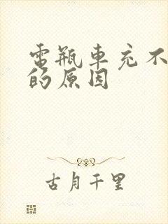 电瓶车充不进电的原因